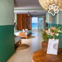 Albatros Suites es un hotel que admite mascotas en Cozumel
