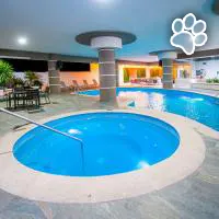 Best Western Plus Santa Cecilia Pachuca es un hotel que admite mascotas en Pachuca