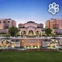 Caribe Royale Orlando es un hotel que admite mascotas en Orlando