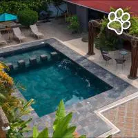 Casa Sirena es un hotel que admite mascotas en Ixtapa