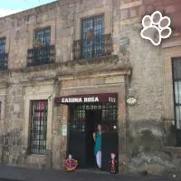 Casona Rosa es un hotel que admite mascotas en Morelia