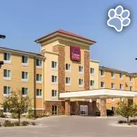 Comfort Suites Conference Center Rapid City es un hotel que admite mascotas en Rapid City