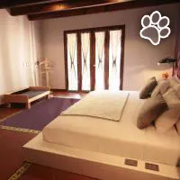 El Hotel es un hotel que admite mascotas en Tepoztlan