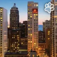Hilton Chicago Magnificent Mile Suites es un hotel que admite mascotas en Chicago