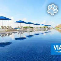 Live Aqua Beach Resort Cancun es un hotel que admite mascotas en Cancun