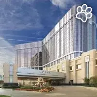 MGM Grand Detroit es un hotel que admite mascotas en Detroit