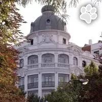 Petit Palace Savoy Alfonso XII es un hotel que admite mascotas en Madrid