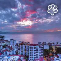 Pinnacle Resorts 180 es un hotel que admite mascotas en Puerto Vallarta