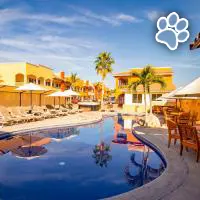 Quinta Del Sol es un hotel que admite mascotas en Los Cabos