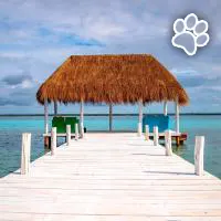 Royal Palm Bacalar Cabañas & Lagoon Club es un hotel que admite mascotas en Bacalar