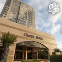 San Antonio Colonnade Hotel es un hotel que admite mascotas en San Antonio