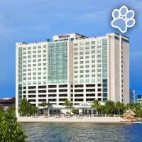 The Westin Tampa Bay es un hotel que admite mascotas en Tampa Bay