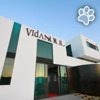 Vidasoul es un hotel que admite mascotas en Los Cabos