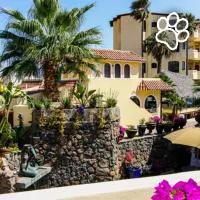Vista Hermosa Resort and Spa es un hotel que admite mascotas en Rosarito