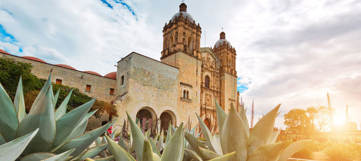 Oaxaca te ofrece los mejores Hoteles Pet Friendly en Ciudades Coloniales