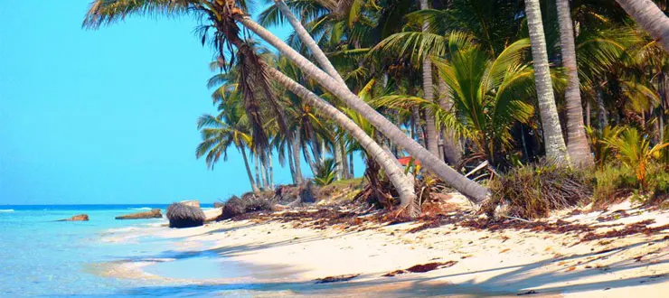 Costa Esmeralda te ofrece los mejores Hoteles Pet Friendly en Playa