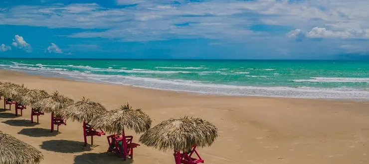 Tampico te ofrece los mejores Hoteles Pet Friendly en Playa