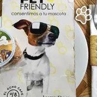 El Ocho es un restaurante que admite mascotas en Condesa