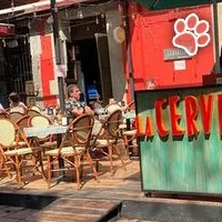 La Cerveceria de Barrio - Coyoacan es un restaurante que admite mascotas en Coyoacan