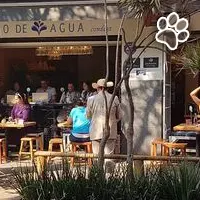 Ojo de Agua es un restaurante que admite mascotas en Condesa
