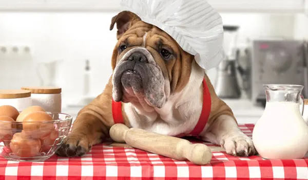 Encuentra mas restaurantes que admiten mascotas en Interlomas